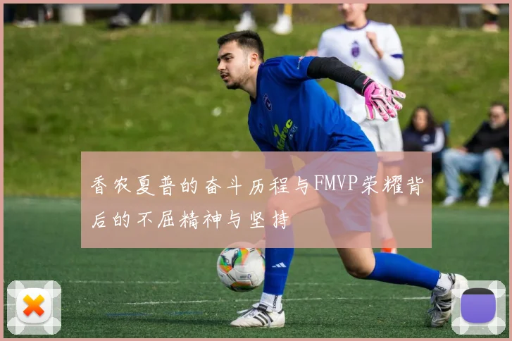 香农夏普的奋斗历程与FMVP荣耀背后的不屈精神与坚持