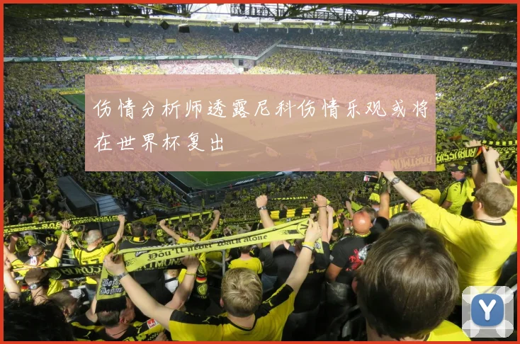 伤情分析师透露尼科伤情乐观或将在世界杯复出